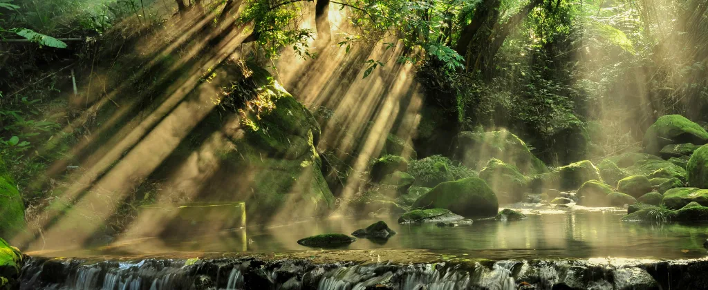 Understanding the Environment