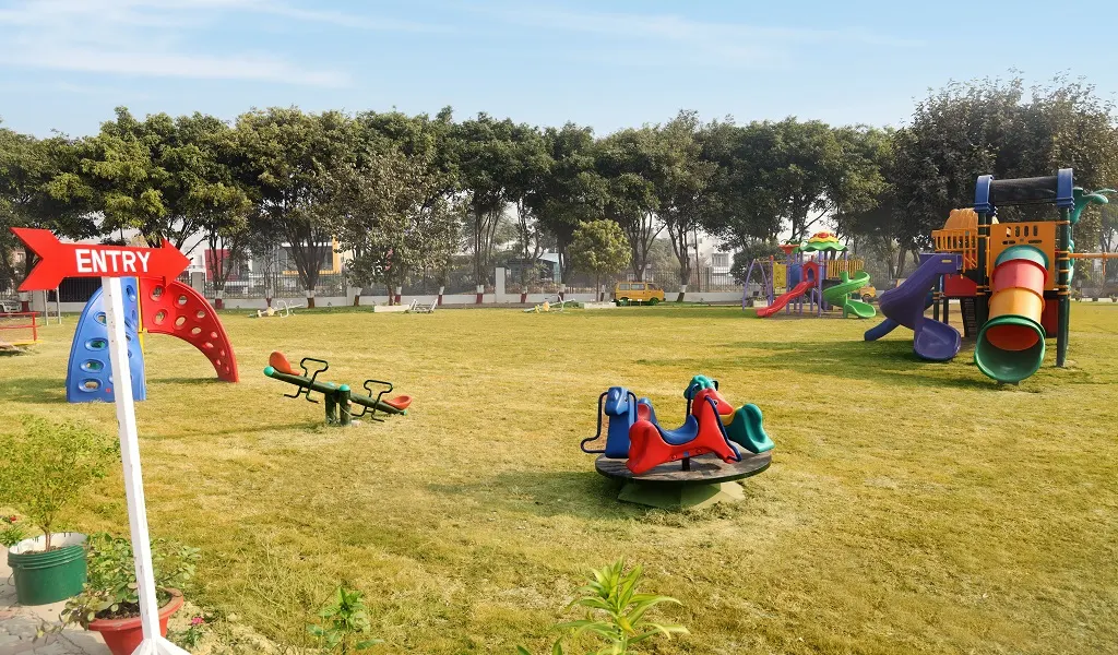 Outdoor Free Play Area