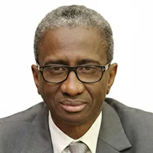 Honourable Mr Justice Diallo Mamadou Bathia President of the Constitutional Council of Mauritania