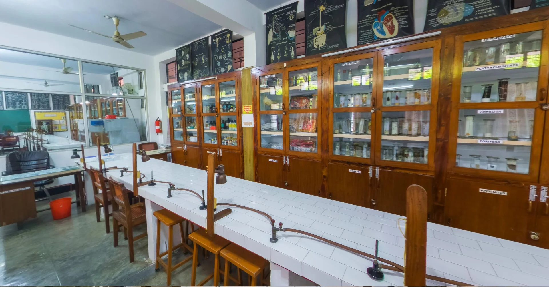Exceptional Learning Environments: Fostering Synergy of Academic Excellence