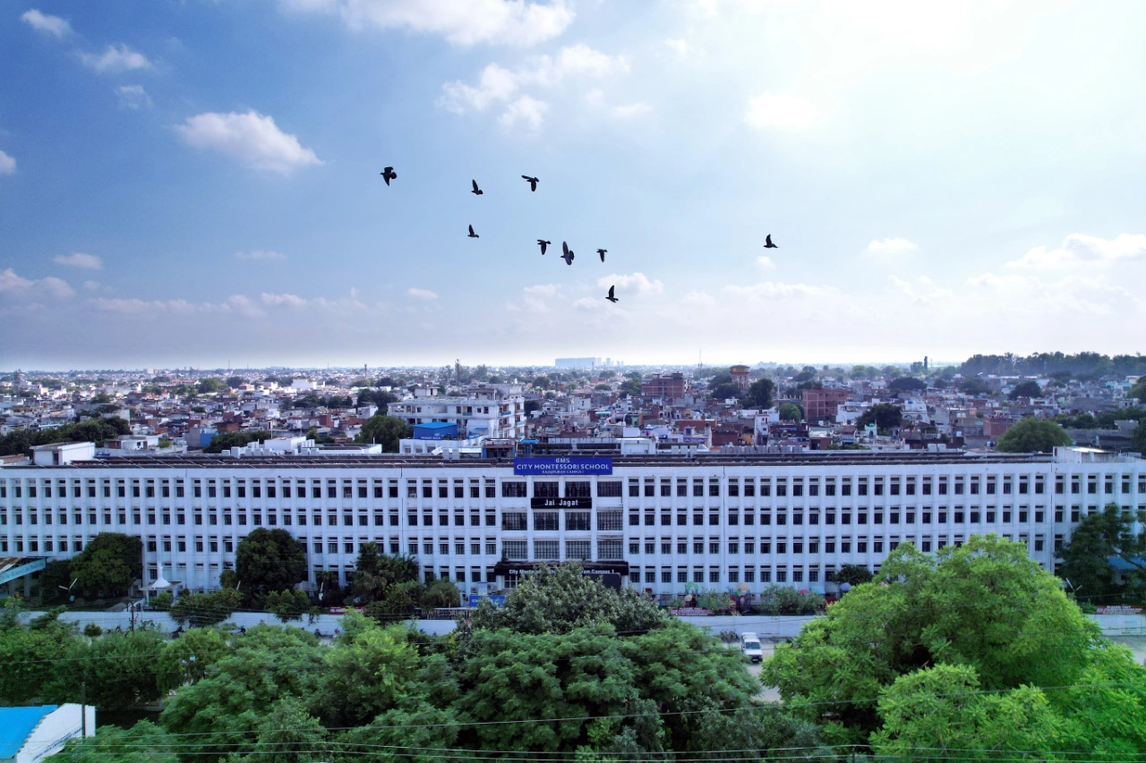 Main Building Overview
