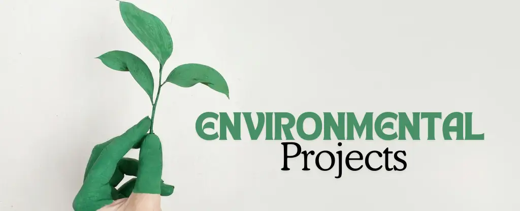 Environmental Projects at Our Campus