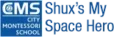 Shux My Space Hero