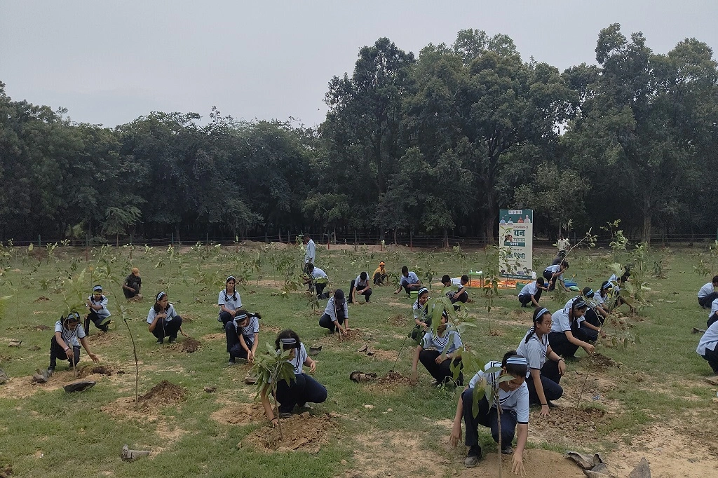 Students planting Saplings