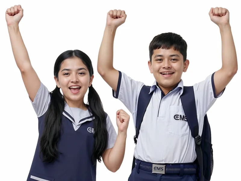 CMS Primary Section