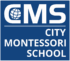 City Montessori School
